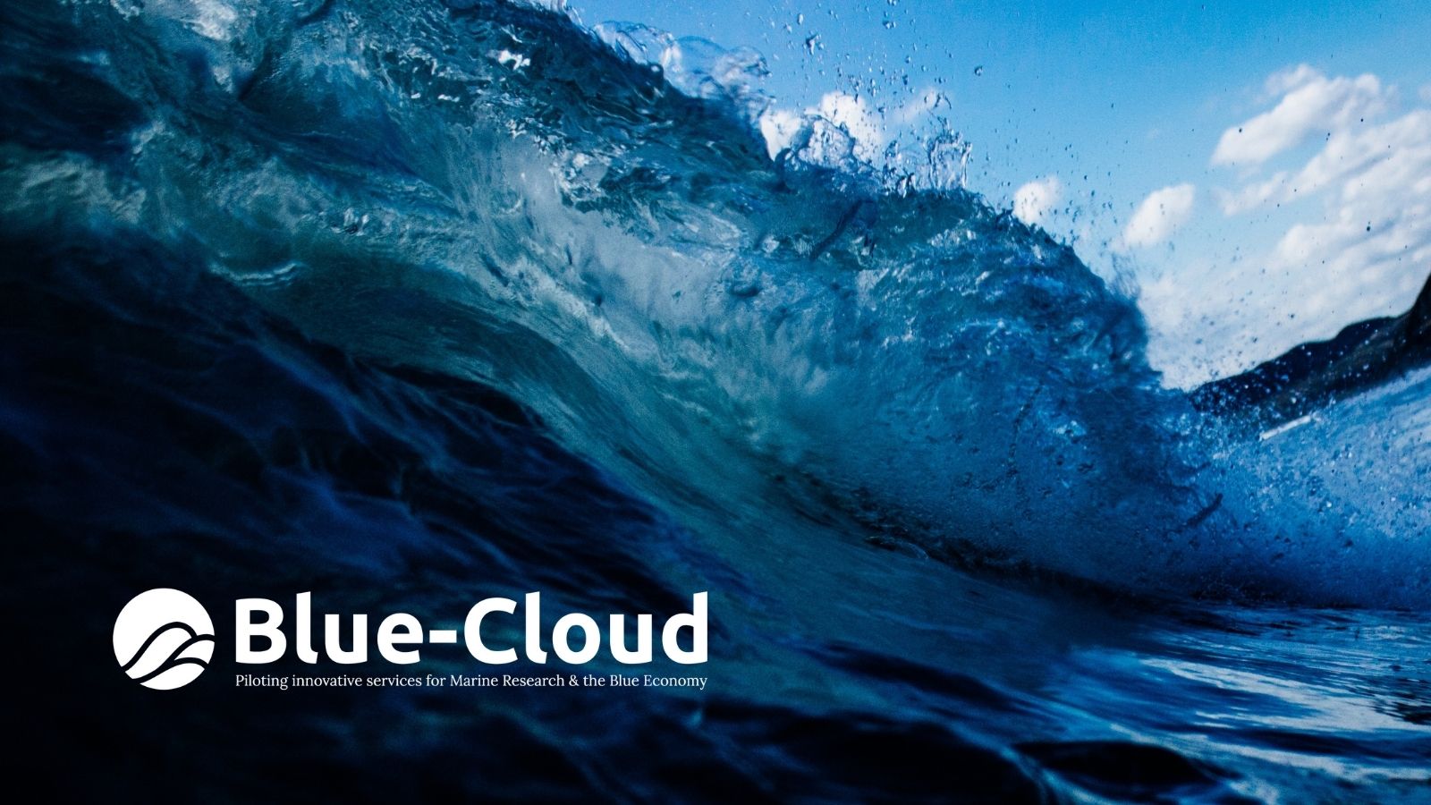 Blue Cloud Project