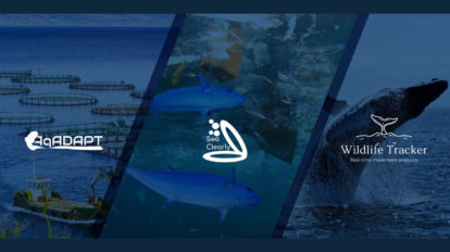 Blue Cloud Hackathon Winners