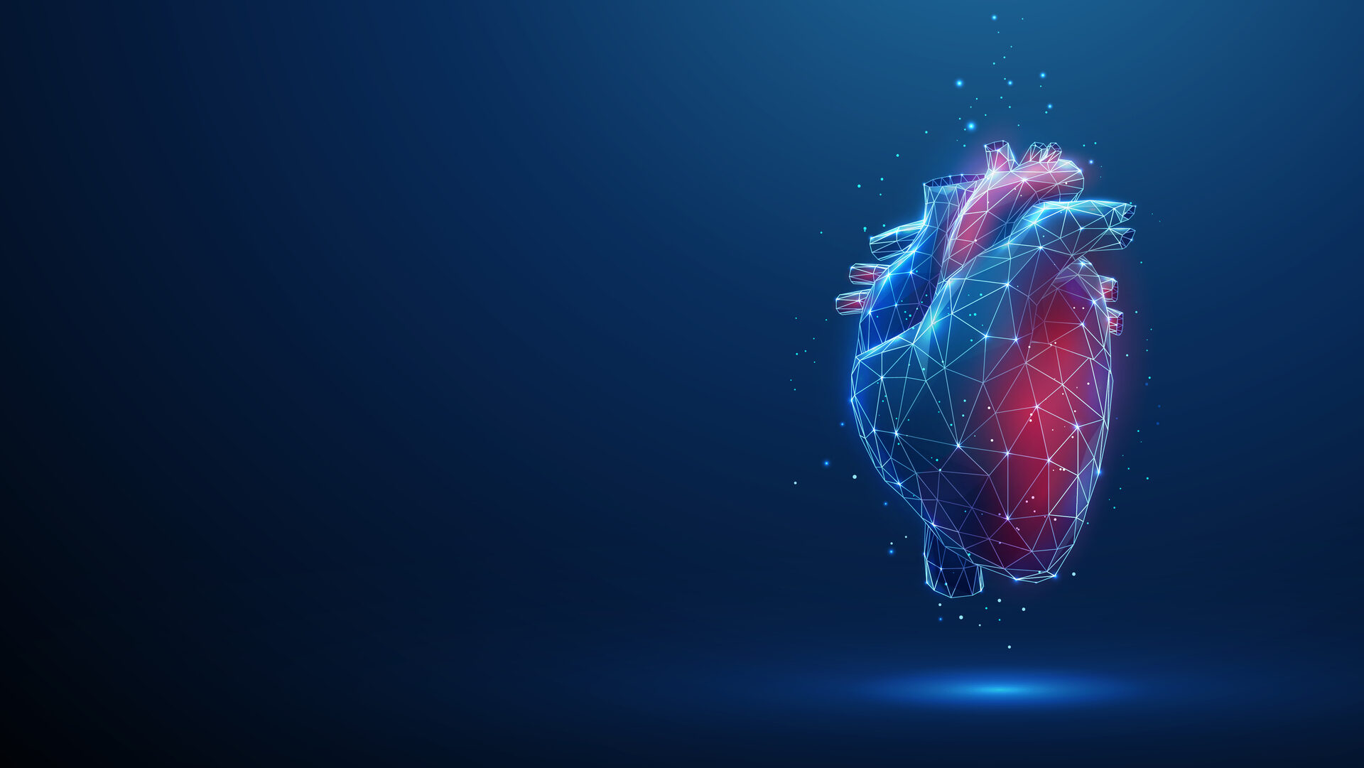 Insight at University of Galway pioneers future of aortic disease