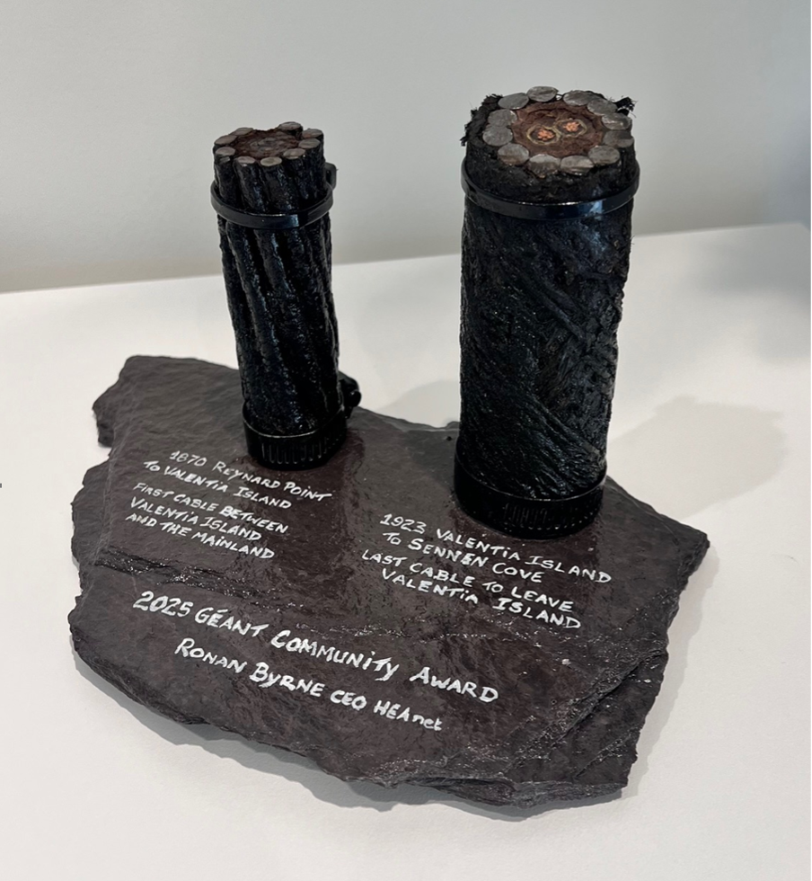 GÉANT Community Award 2025 presented to HEAnet CEO Ronan Byrne