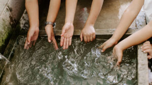 Sorry! Image not available at this time